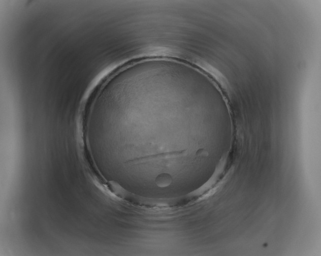 X0000110991120200906261444