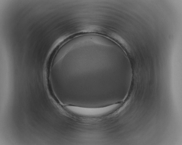 X0000110991122200906261444