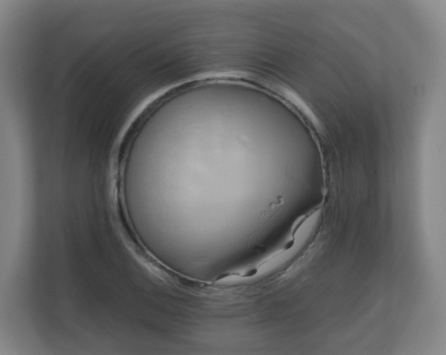 X0000110991124200906261444