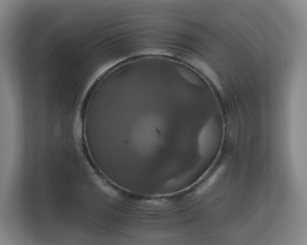 X0000110991125200906261444