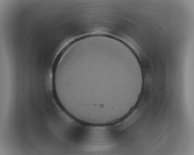 X0000110991126200906261444