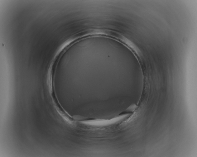 X0000110991127200906261444