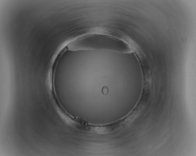 X0000110991128200906261444