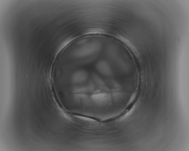 X0000110991129200906261444