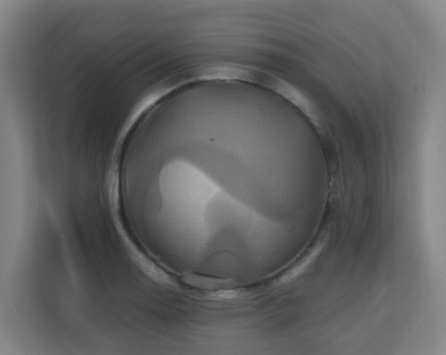 X0000110991130200906261444