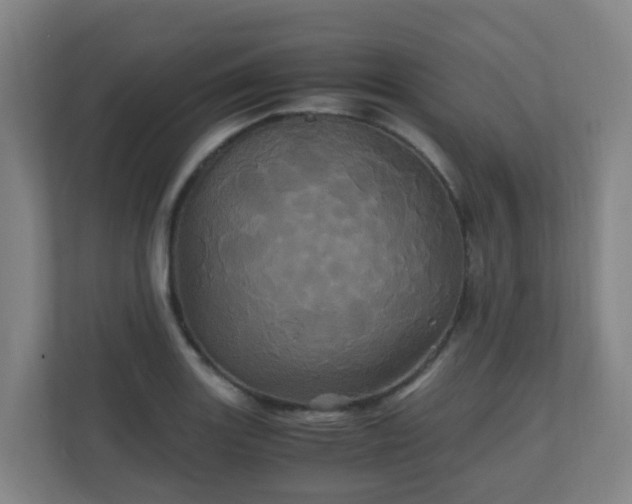 X0000110991131200906261444