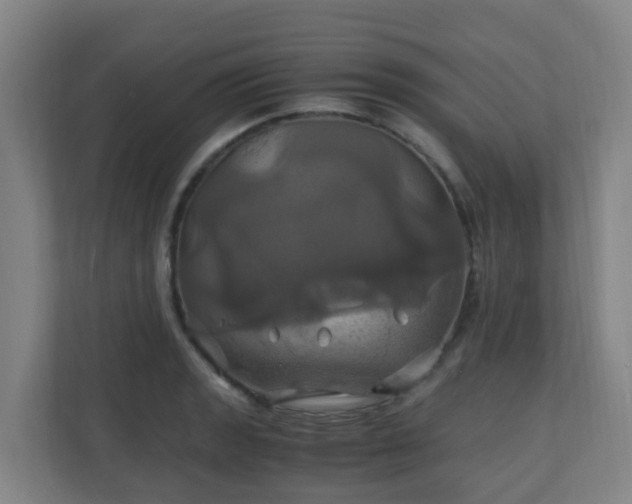 X0000110991133200906261444