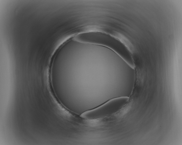 X0000110991134200906261444