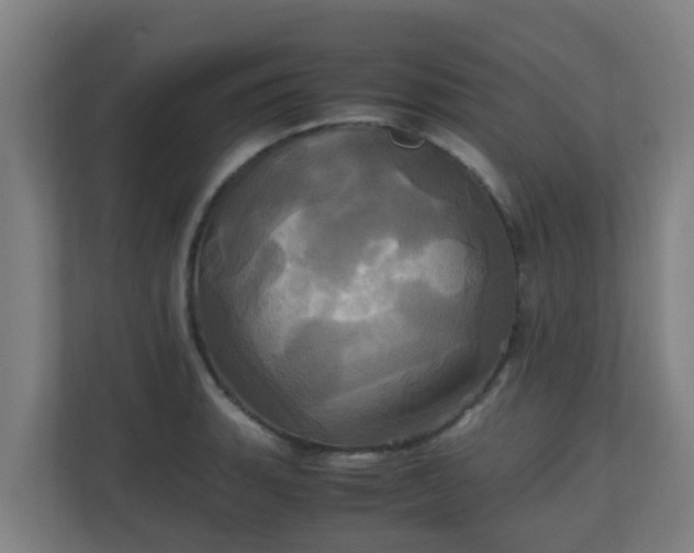 X0000110991135200906261444
