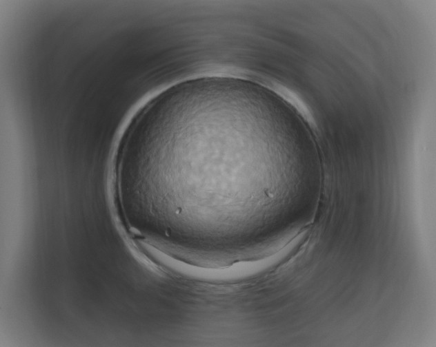 X0000110991136200906261444