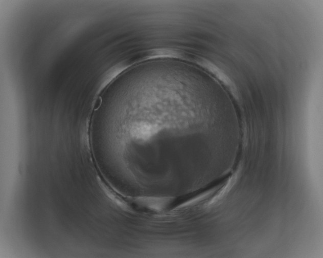 X0000110991137200906261444