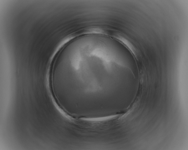 X0000110991139200906261444