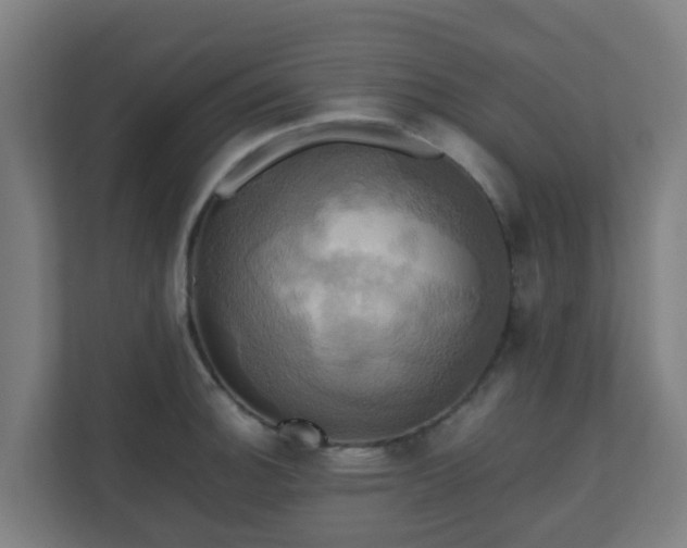 X0000110991140200906261444