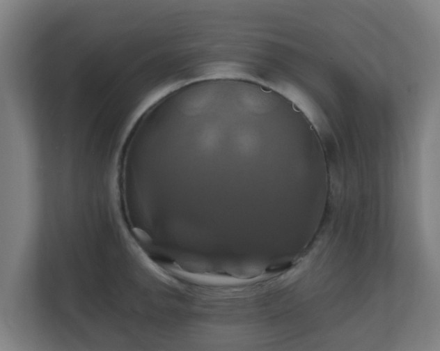 X0000110991142200906261444