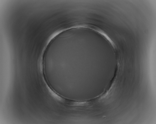 X0000110991143200906261444