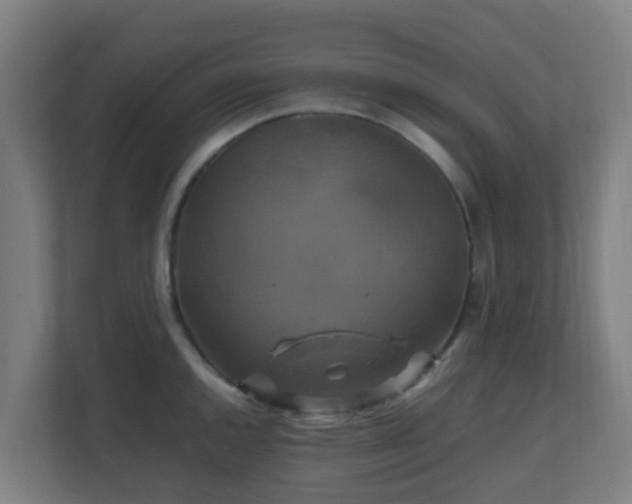 X0000110991144200906261444