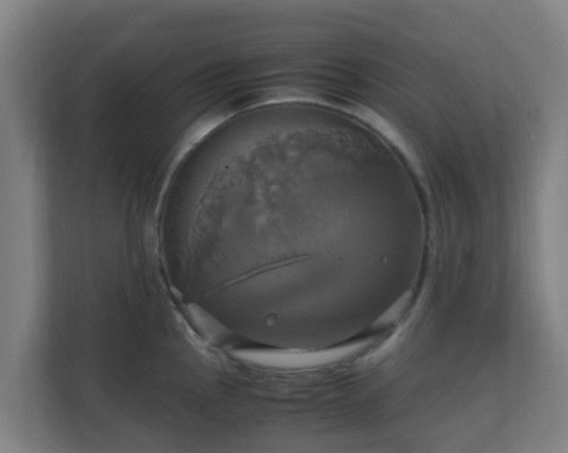 X0000110991145200906261444