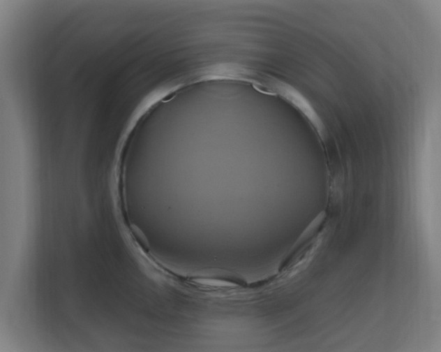 X0000110991146200906261444