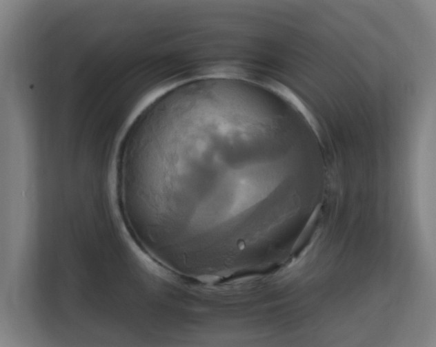 X0000110991147200906261444