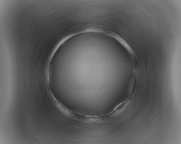 X0000110991148200906261444