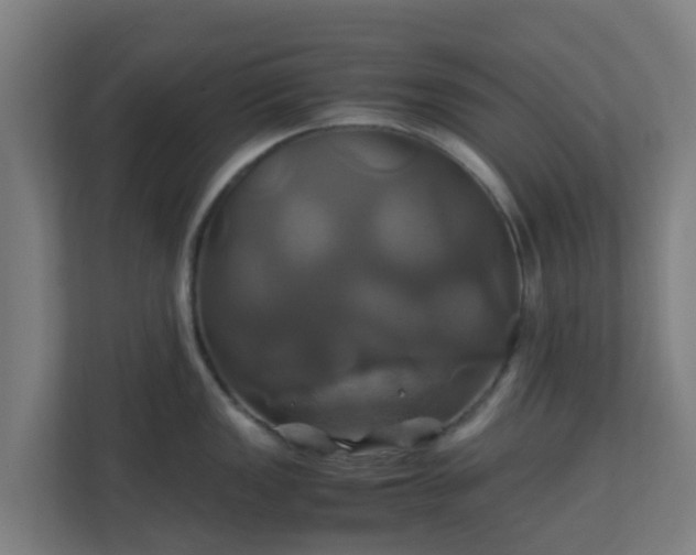 X0000110991149200906261444