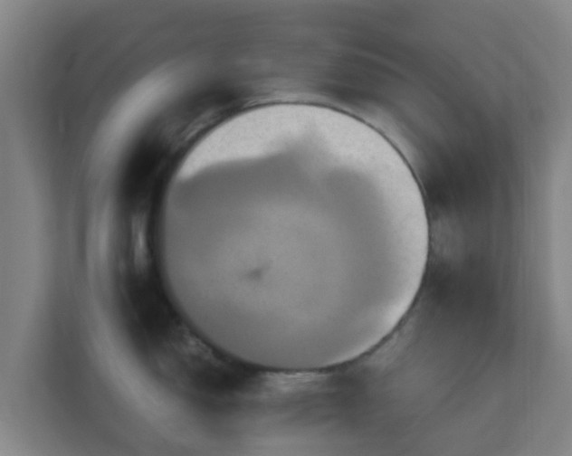 X0000110991150200906261444