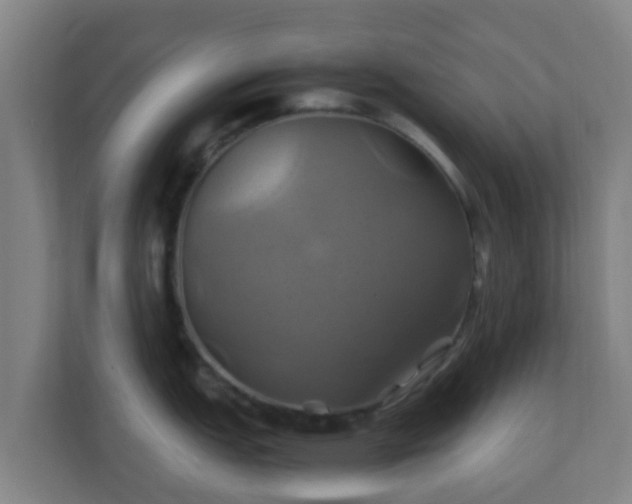 X0000110991151200906261444