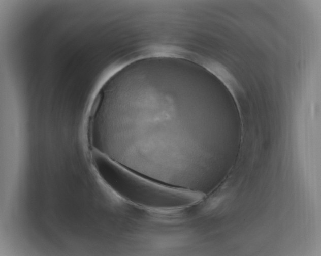 X0000110991152200906261444