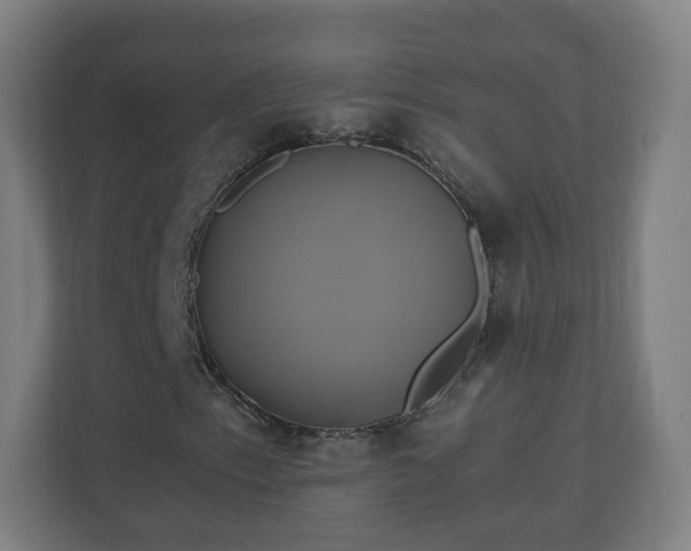 X0000110991153200906261444