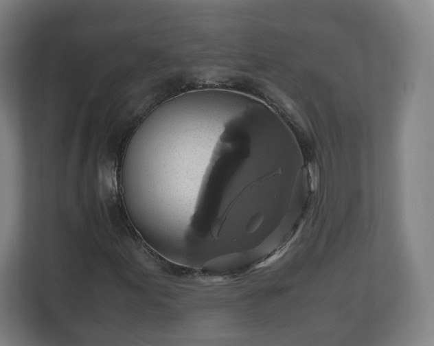 X0000110991155200906261444