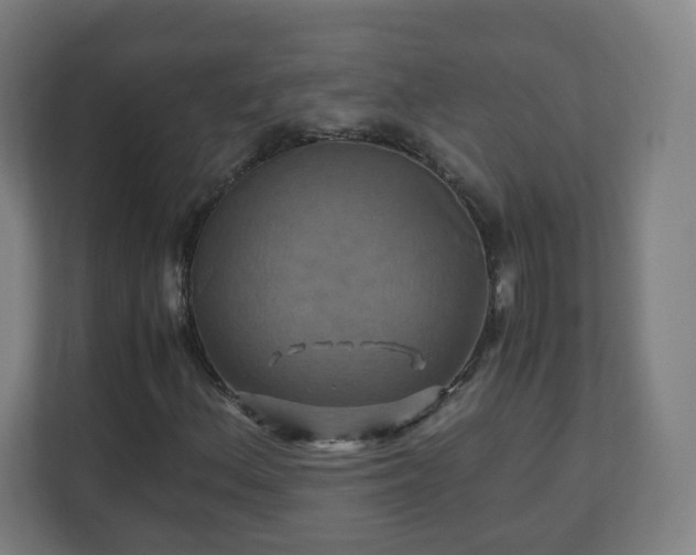 X0000110991156200906261444