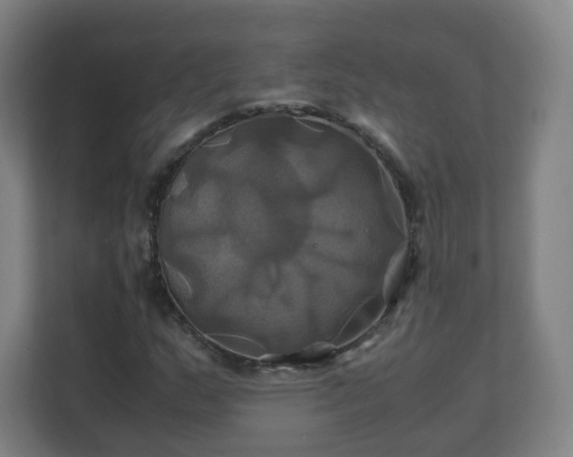 X0000110991159200906261444