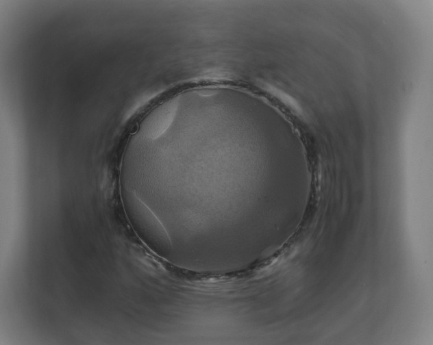 X0000110991160200906261444