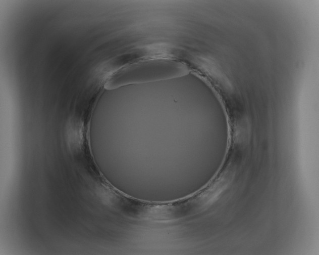 X0000110991161200906261444