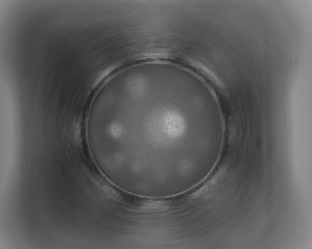 X0000110991162200906261444