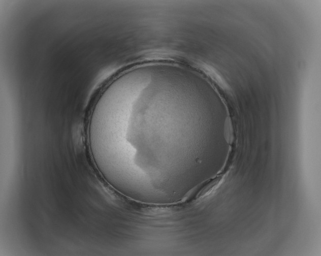X0000110991164200906261444