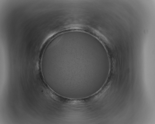 X0000110991166200906261444