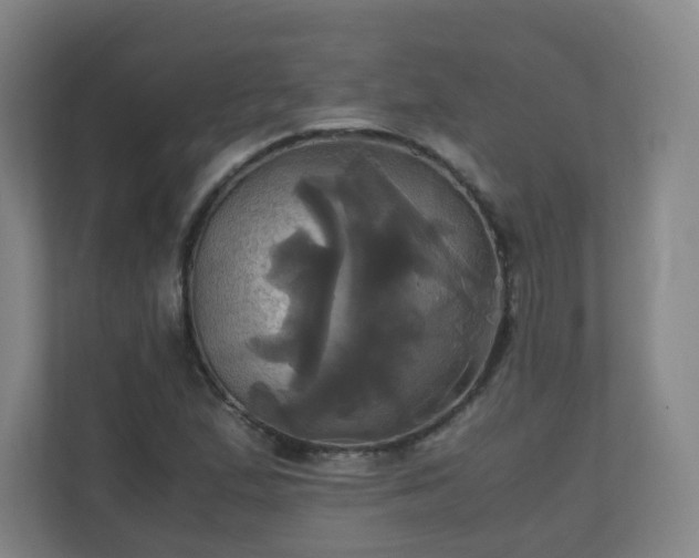 X0000110991167200906261444