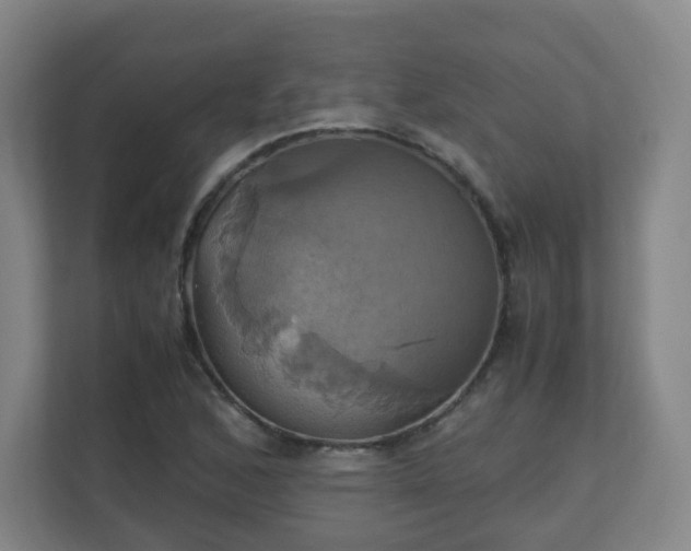 X0000110991168200906261444