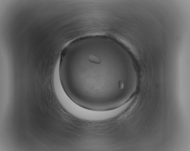 X0000110991169200906261444