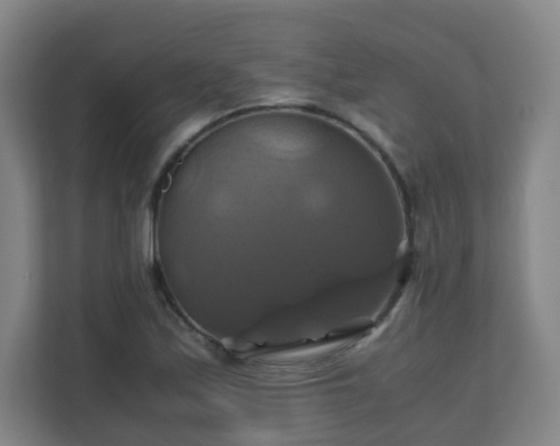 X0000110991171200906261443