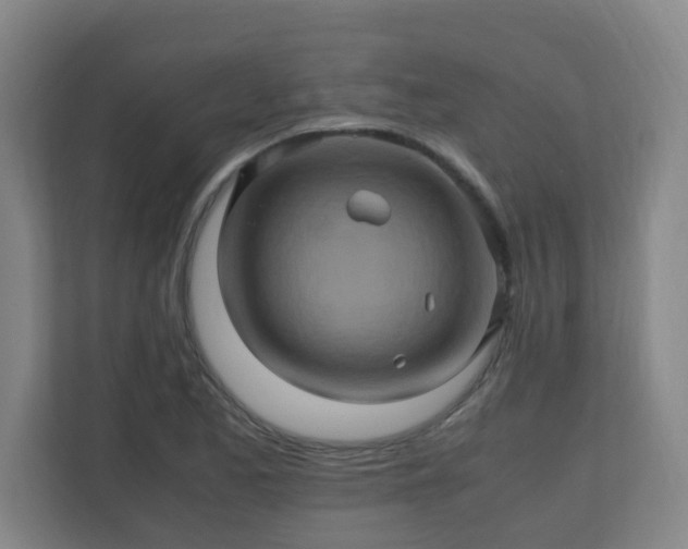 X0000110991173200906261443