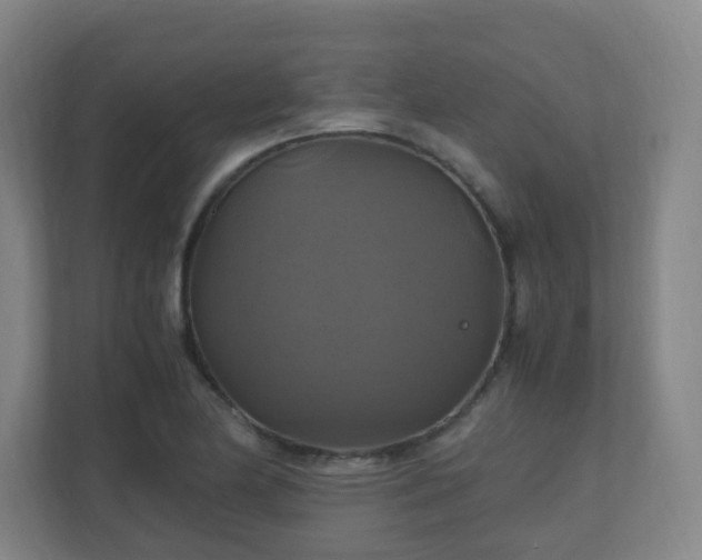 X0000110991174200906261443