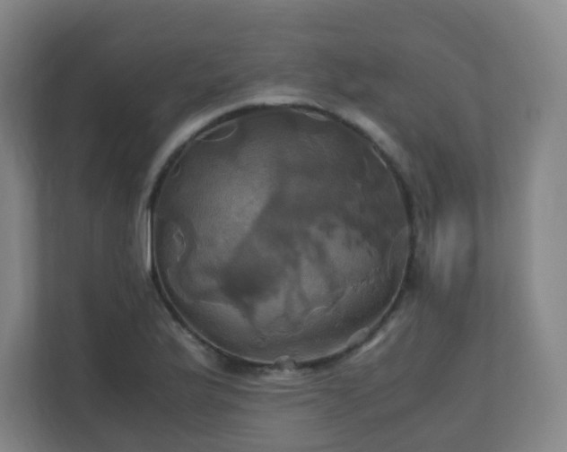 X0000110991175200906261443