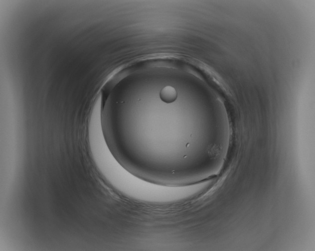 X0000110991177200906261443
