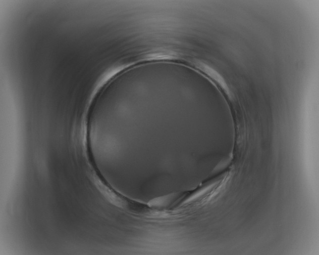 X0000110991179200906261443