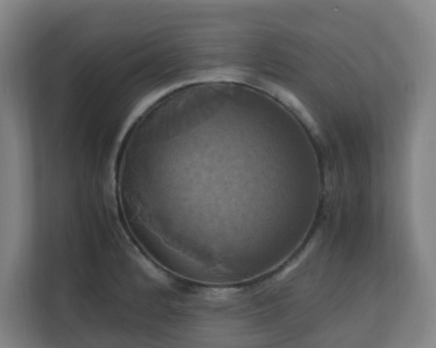 X0000110991184200906261443