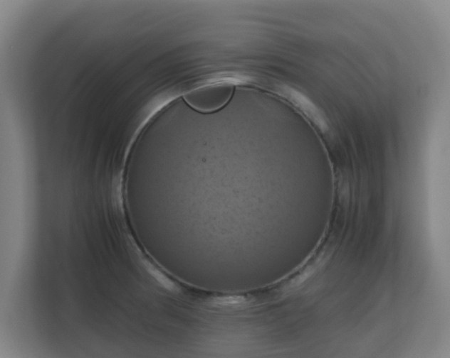 X0000110991186200906261443