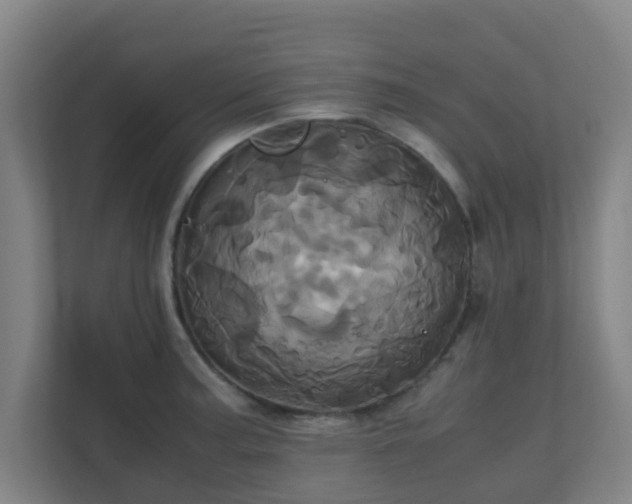 X0000110991187200906261443