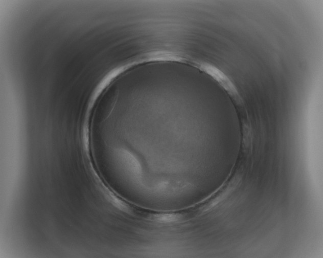 X0000110991188200906261443